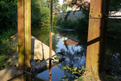 Mühlenteich-1