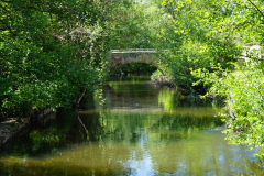 Mühlenteich-5